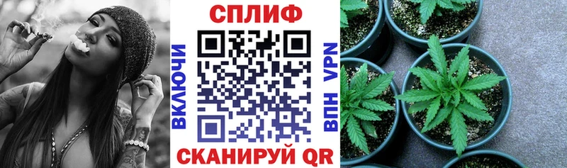 Виды наркотиков купить Заволжск Бошки Шишки  Амфетамин  COCAIN  APVP  ГАШИШ  МЕФ 