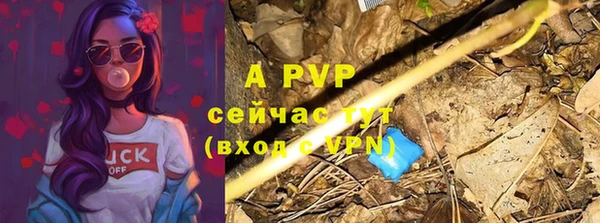 MESCALINE Гатчина
