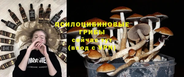 прущий лед Арсеньев
