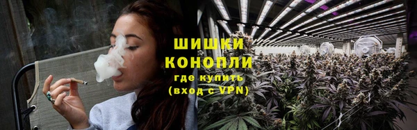 спиды Галич