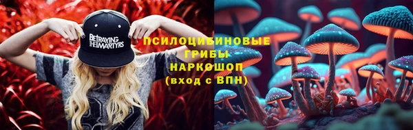 спиды Галич