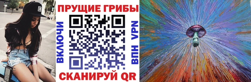 Псилоцибиновые грибы ЛСД  MEGA ссылка  Заволжск 